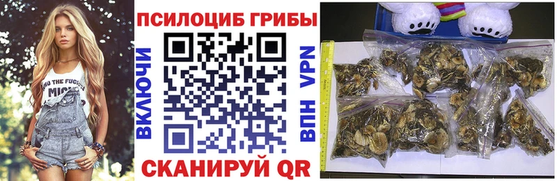 Галлюциногенные грибы ЛСД  Димитровград 