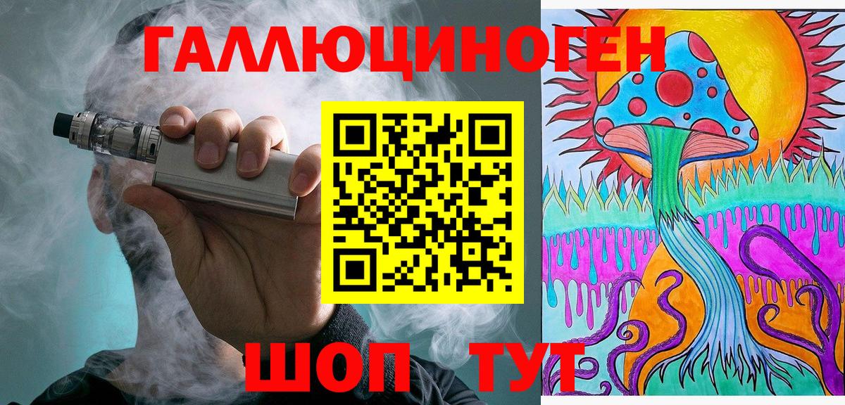 Псилоцибиновые грибы Psilocybe Димитровград